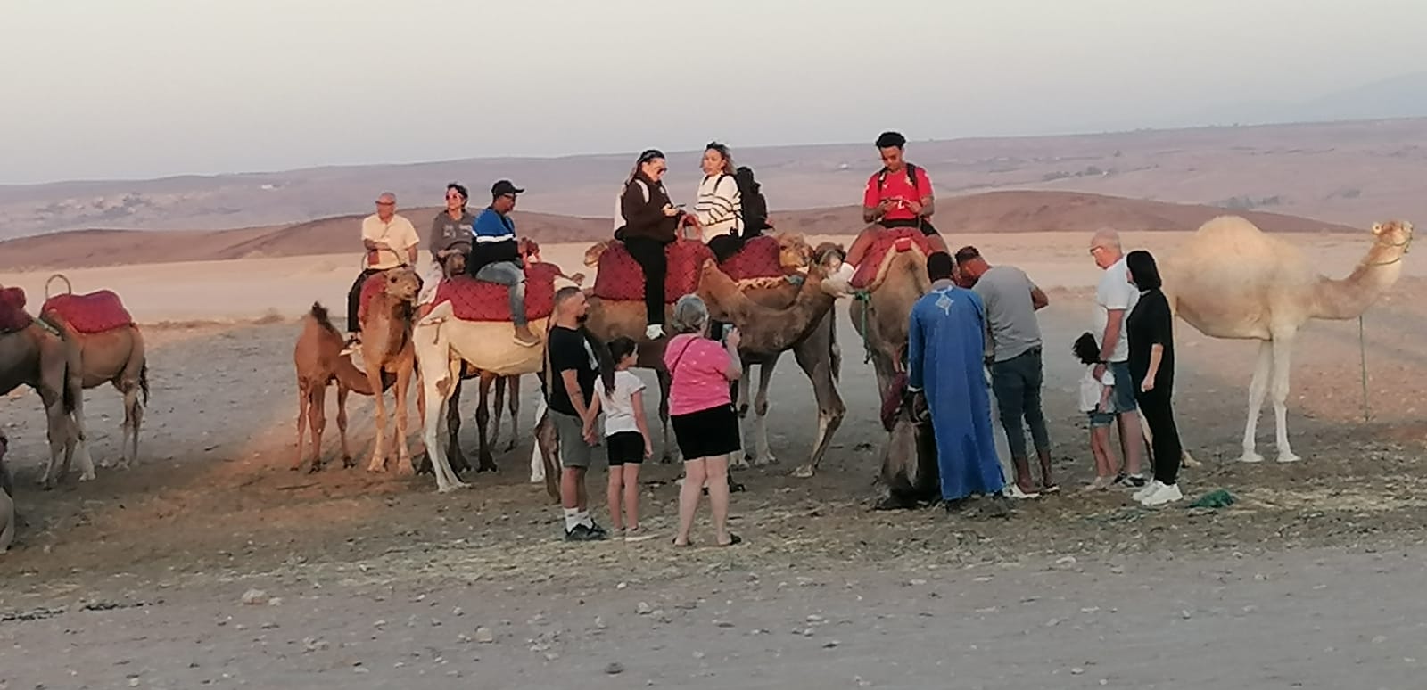 Camel caravan at dusk in the Agafay stone desert